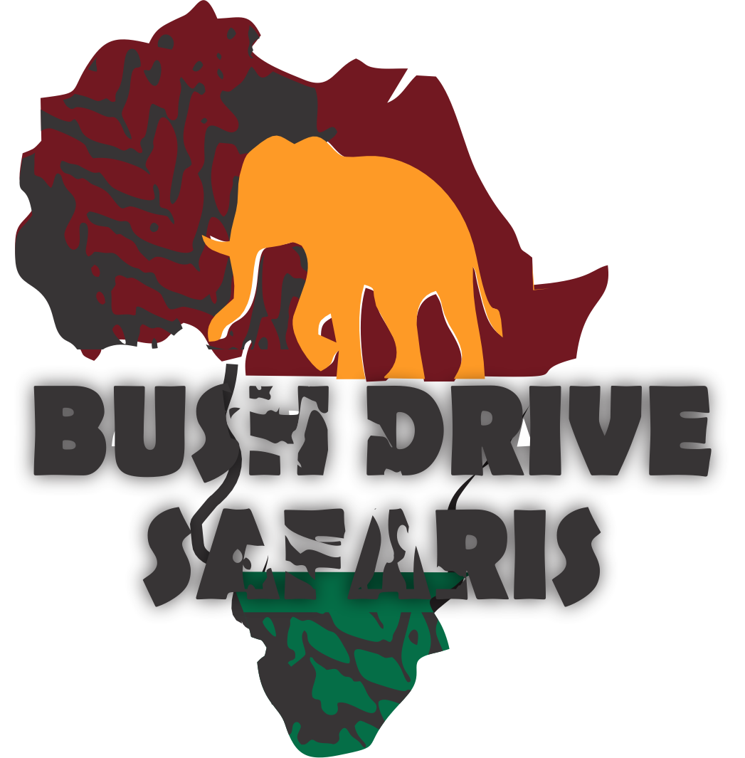 Bushdrive Safaris Logo